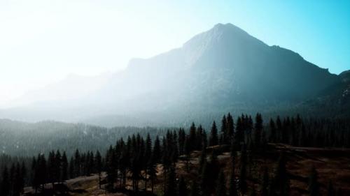 Videohive - Rocky Mountain Range with Trees - 43211973 - 43211973