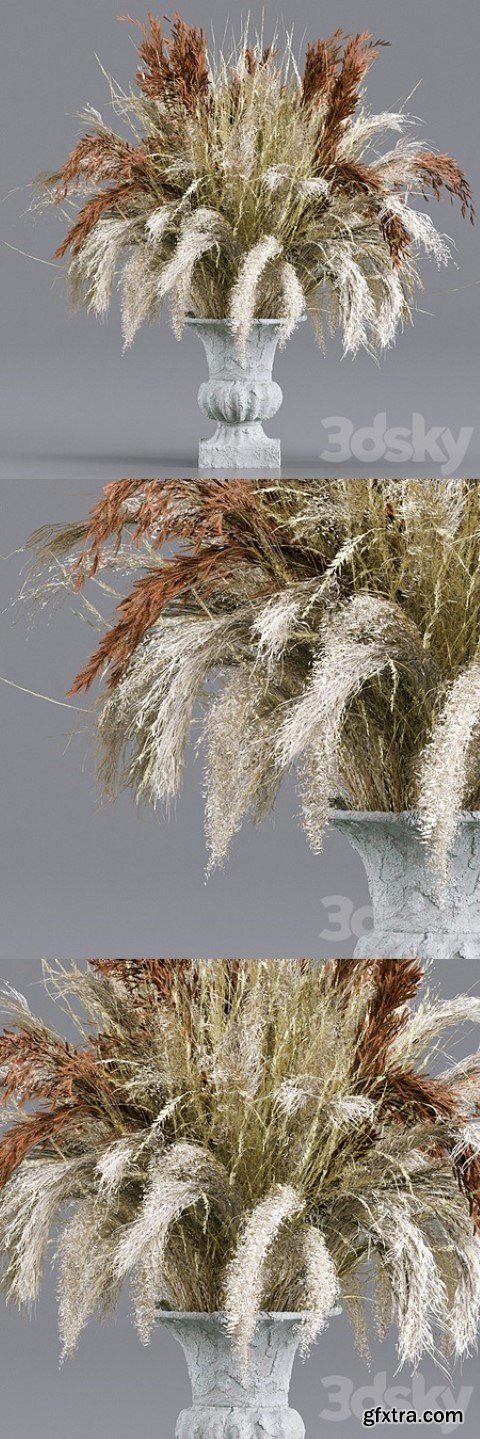 Bouquet Collection 13 – Decorative Dried Branches and Pampas