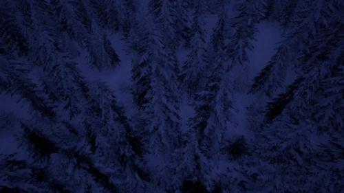Videohive - Fly Over Snowy Forest At Night - 43220475 - 43220475