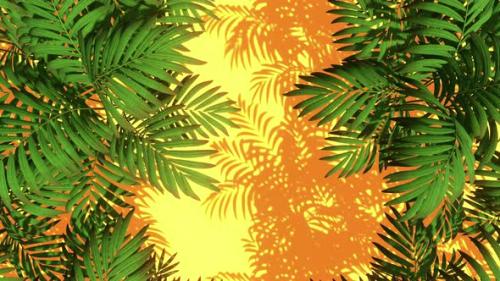 Videohive - Palm Colorful 4k - 43241560 - 43241560