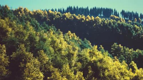 Videohive - Stunning Landscape During Fall for September - 43298526 - 43298526