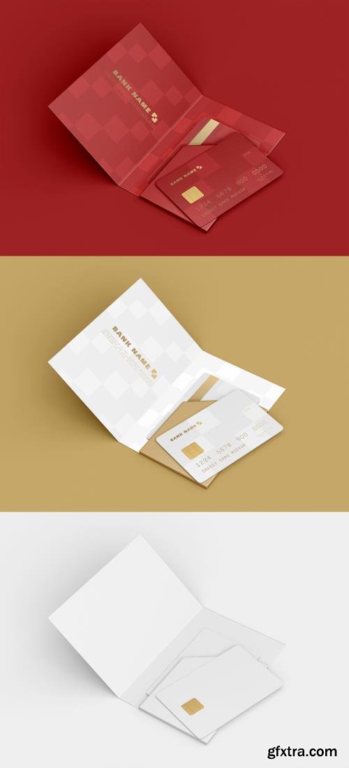 Two Credit Card in Folder Mockup 461127678