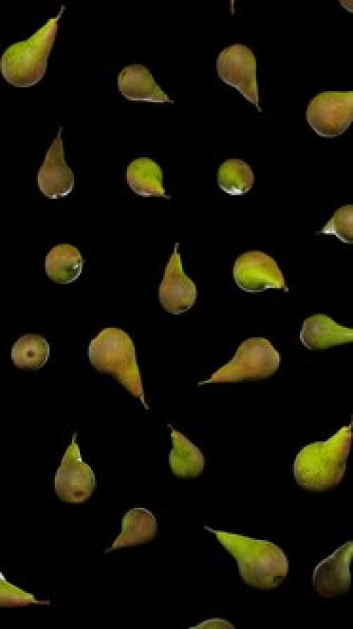 Videohive - Vertical Floating Green Pears on Alpha - 43283827 - 43283827