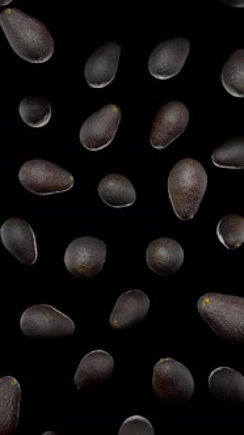 Videohive - Vertical Floating Dark Skin Avocados on Alpha - 43283840 - 43283840