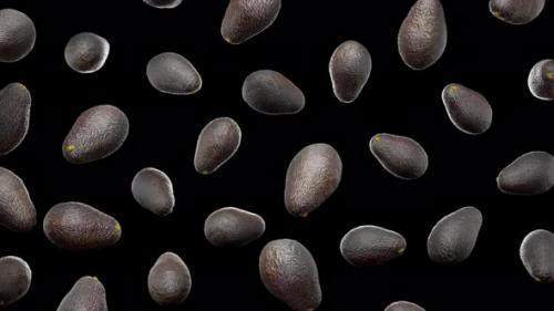 Videohive - Seamless Floating Dark Skin Avocados on Alpha - 43283844 - 43283844