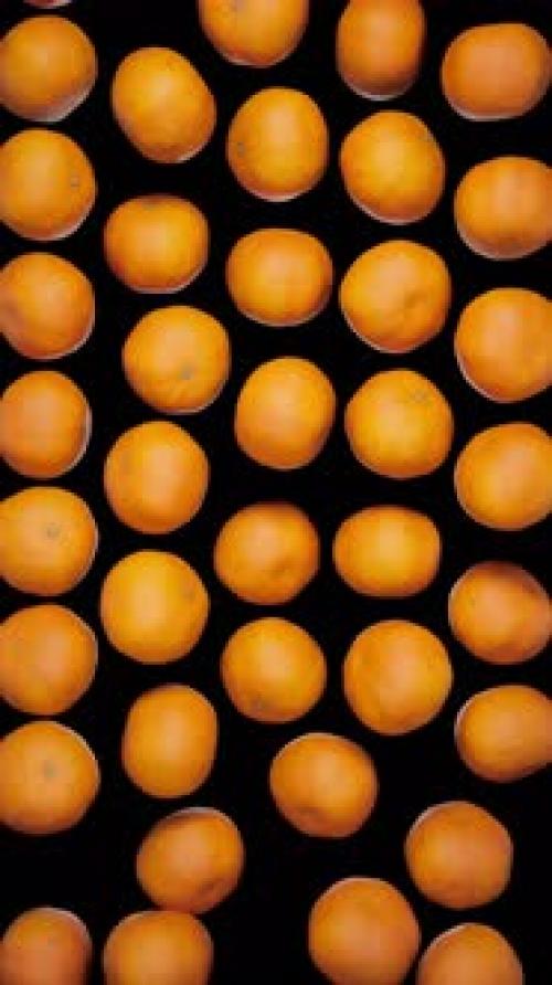 Videohive - Vertical Falling Clementines on Alpha - 43283878 - 43283878