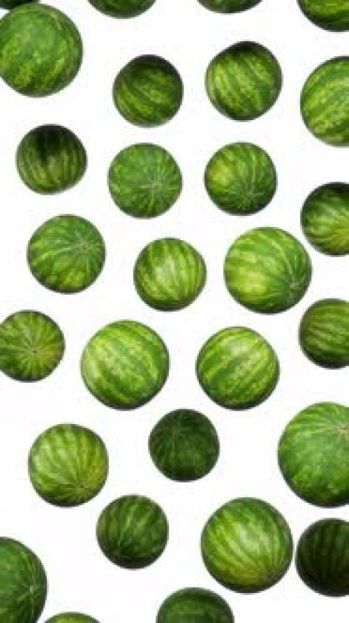 Videohive - Vertical Floating Watermelons on White - 43283879 - 43283879