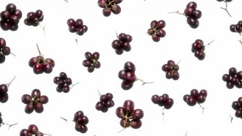 Videohive - Seamless Floating Red Grapess on White - 43283902 - 43283902