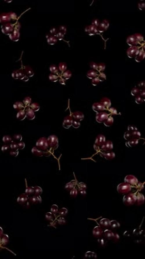 Videohive - Vertical Floating Red Grapess on Alpha - 43283904 - 43283904