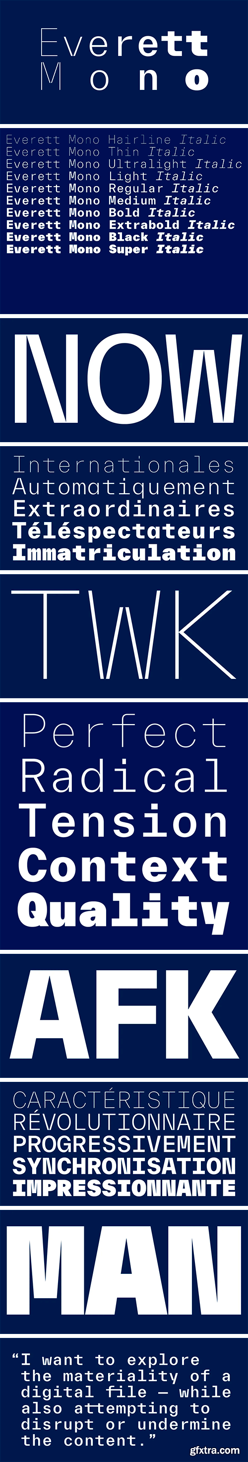 TWK Everett Mono Font Family