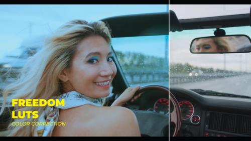 Videohive - LUTs Freedom - 43309374 - 43309374