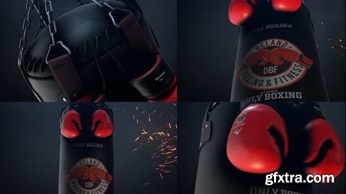 Videohive Boxing Gloves Logo Reveal 25009365