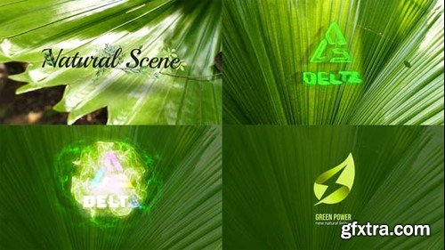 Videohive Nature Logo Reveal 43254659