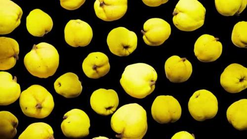 Videohive - Seamless Floating Quinces on Alpha - 43283924 - 43283924