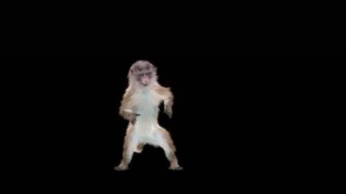 Videohive - 53 Monkey Dance HD - 43346066 - 43346066