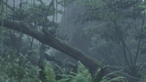 Videohive - Scene Looking Straight Into a Dense Tropical Rain Forest - 43385160 - 43385160