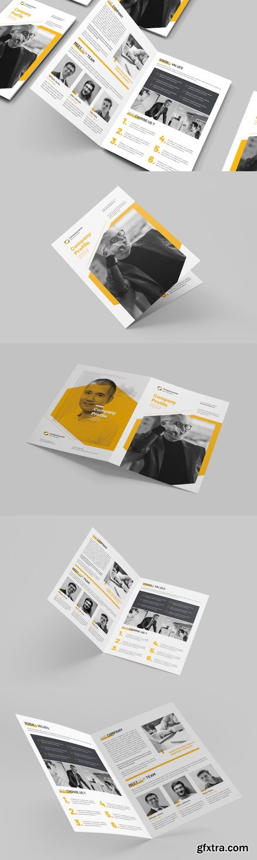 Company Bi-fold Brochure