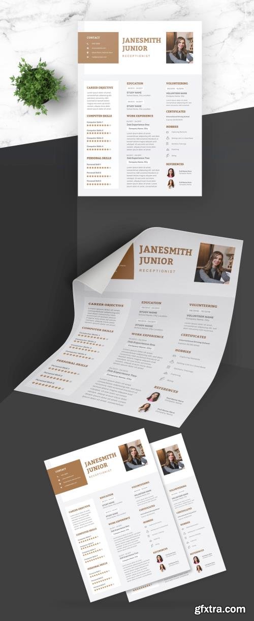 Feminine Resume with Brown Accents 430459281