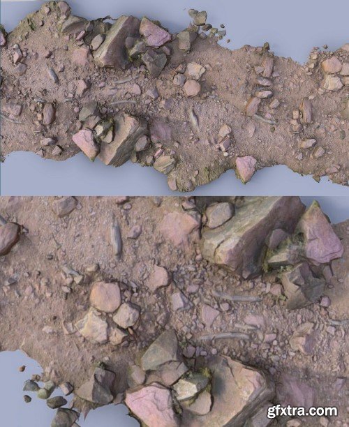 Rocky Stone Path Scan 3D Model