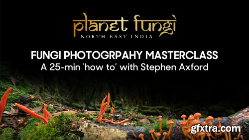 Steven Axford - Planet Fungi: Fungi Photography Masterclass