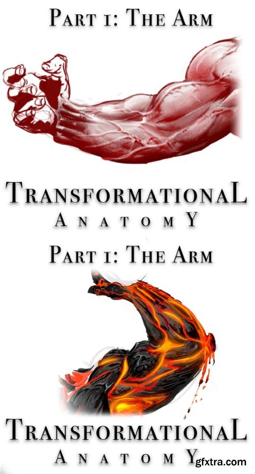 Gumroad - Transformational Anatomy Part 1: The Arm - Steven Zapata