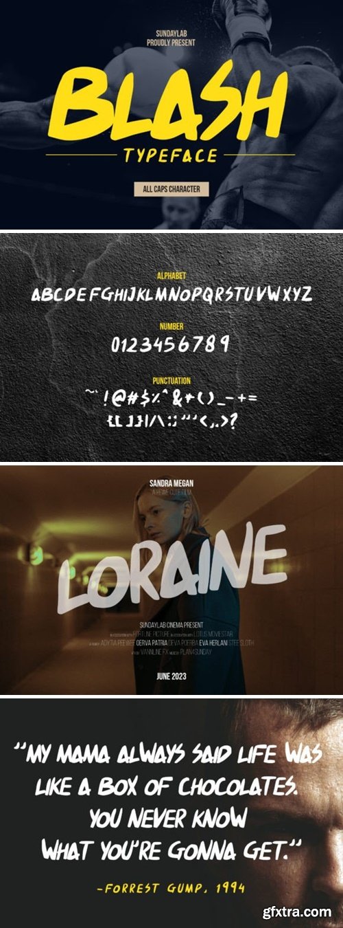 Blash Typeface Font