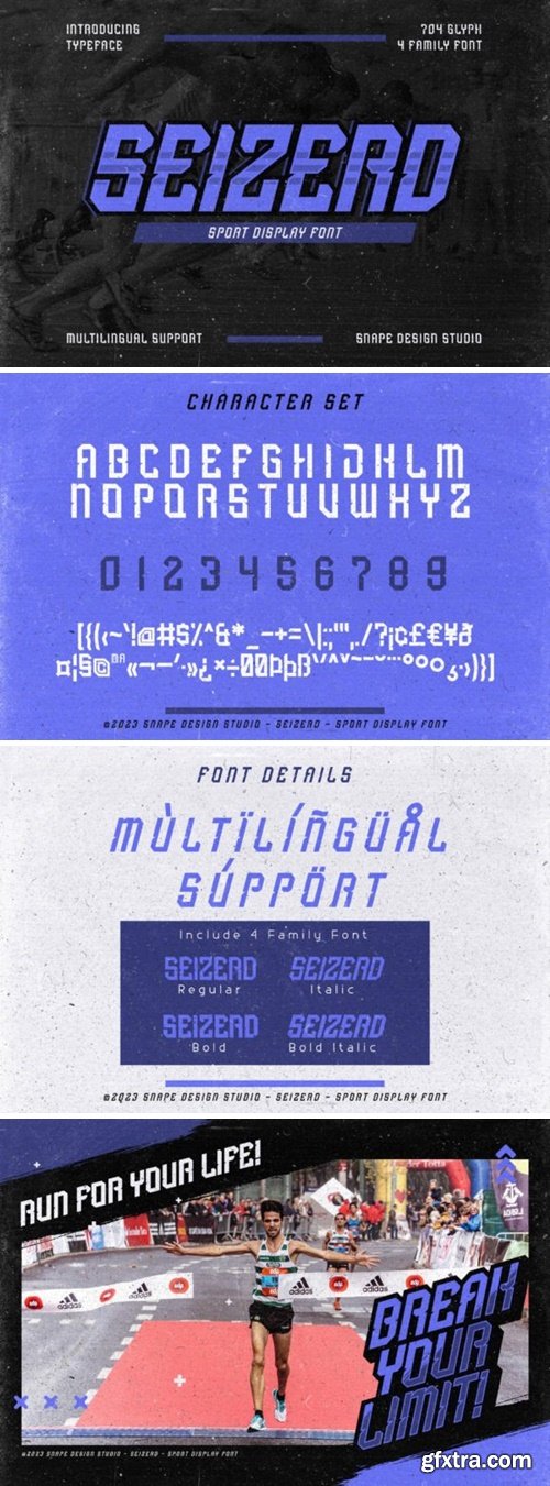 Seizerd Font