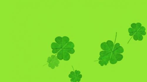 Videohive - Animation of multiple clover leaves falling on green background - 43354322 - 43354322