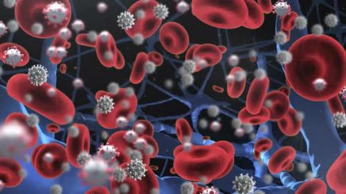 Videohive - Animation of covid 19 and red blood cells floating in organism over black background - 43356084 - 43356084