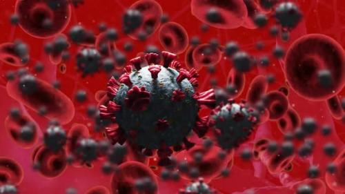 Videohive - Animation of covid 19 and red blood cells floating over red background - 43356085 - 43356085