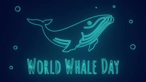 Videohive - world whale day 18 february whale protection save ocean - 43370094 - 43370094