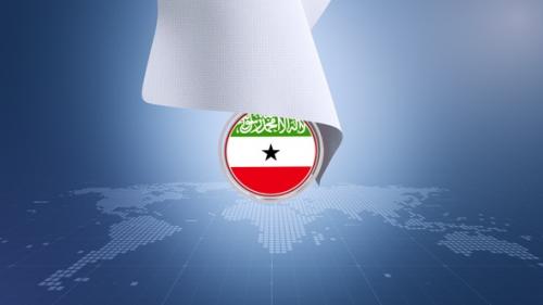 Videohive - Cloth Somaliland Flag Reveal - 43334429 - 43334429