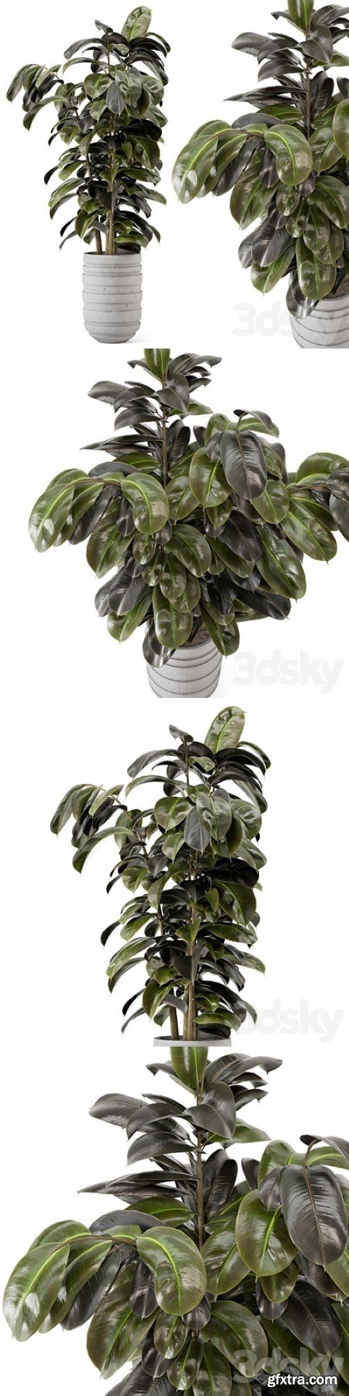 Indoor Plants in rusty Concrete Pot – Set 549