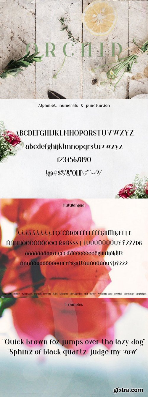 Orchid Font