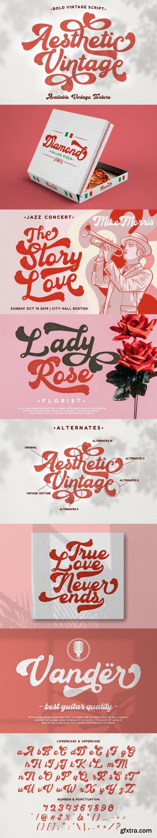 Aesthetic Vintage - Bold Vintage Script