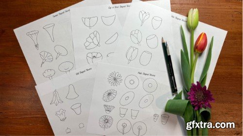 How to Draw Flowers: An Easy Step-by-Step Guide