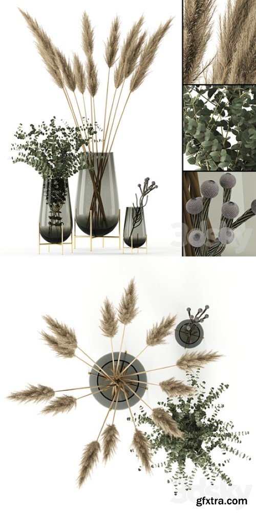 Plants in Echasse Vases