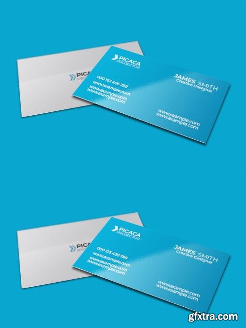 Picaca Business Card 532553378