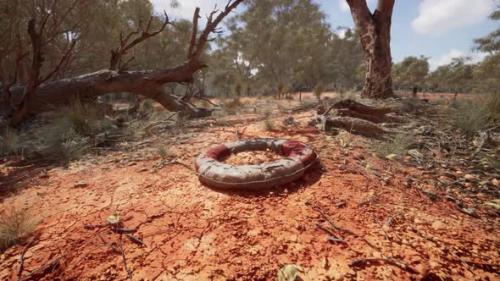 Videohive - Life Ring Buoy in Desert Beach - 43425557 - 43425557