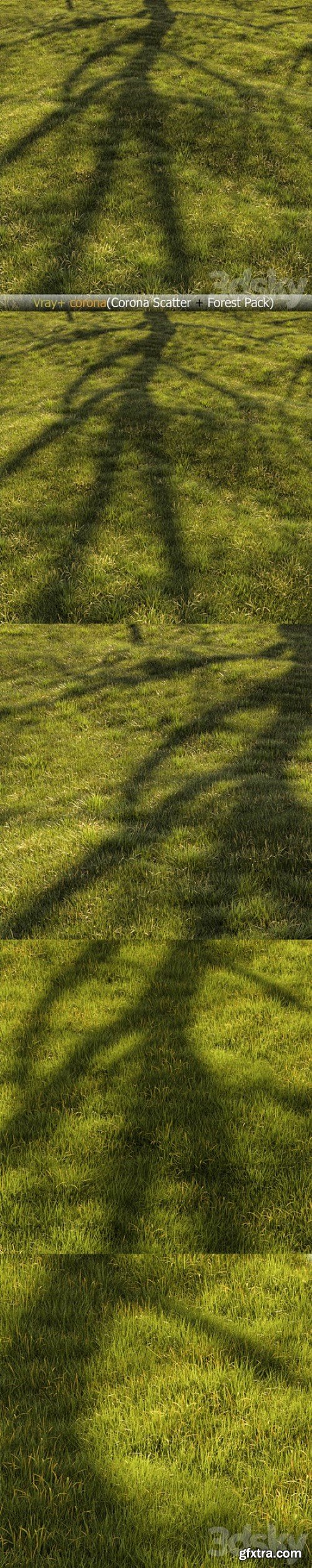 Grass Landscape