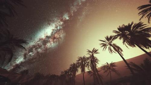 Videohive - Starry Night Sky Against with Coconut Palm Trees - 43424888 - 43424888