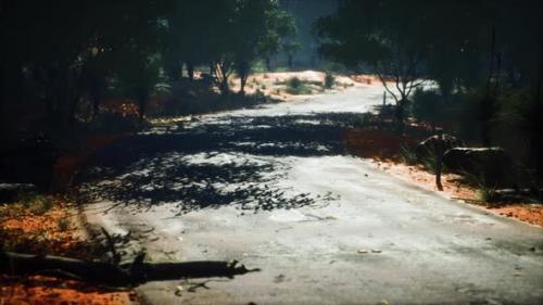 Videohive - Jungle Road in Baluran Park in Indonesia - 43426908 - 43426908