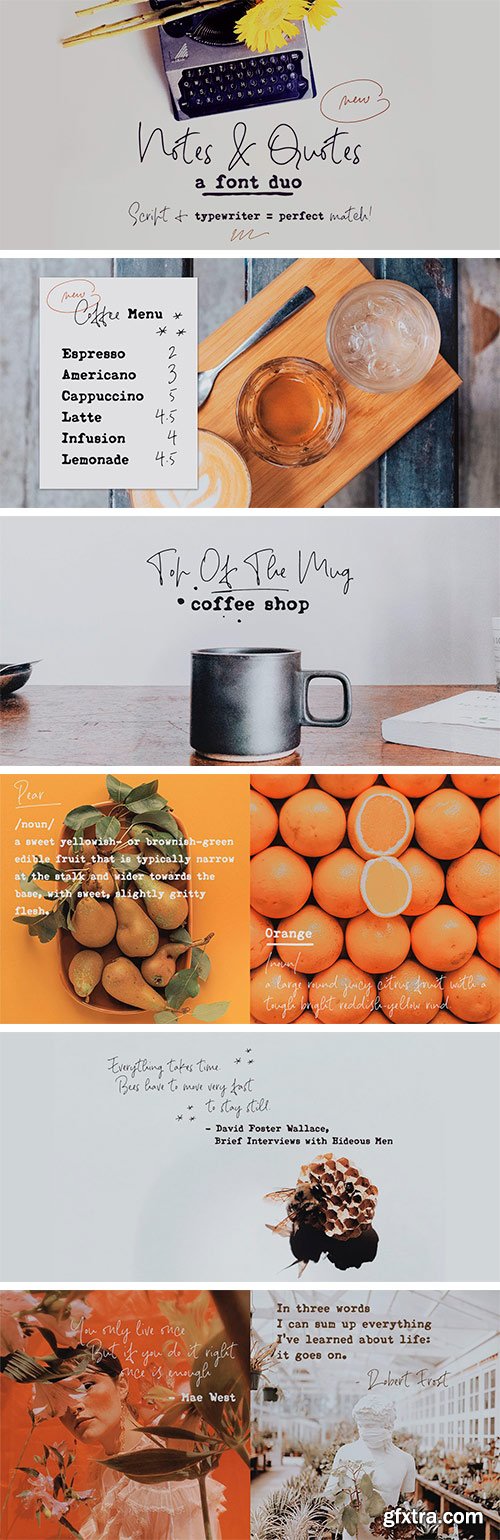 Notes and Quotes Font Family