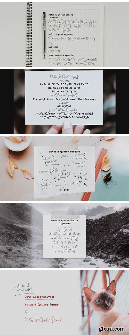 Notes and Quotes Font Family