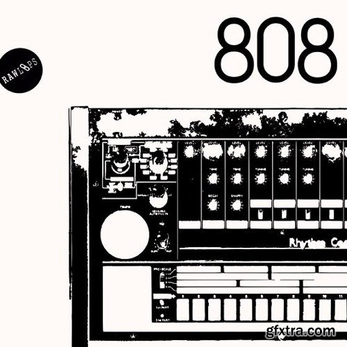 Raw Loops RAW 808 Drum Hits