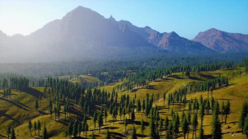 Videohive - Beautiful Mountain View with Pine Forest - 43491507 - 43491507