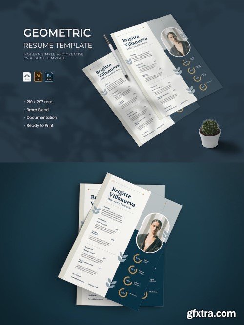 Geometric - Resume