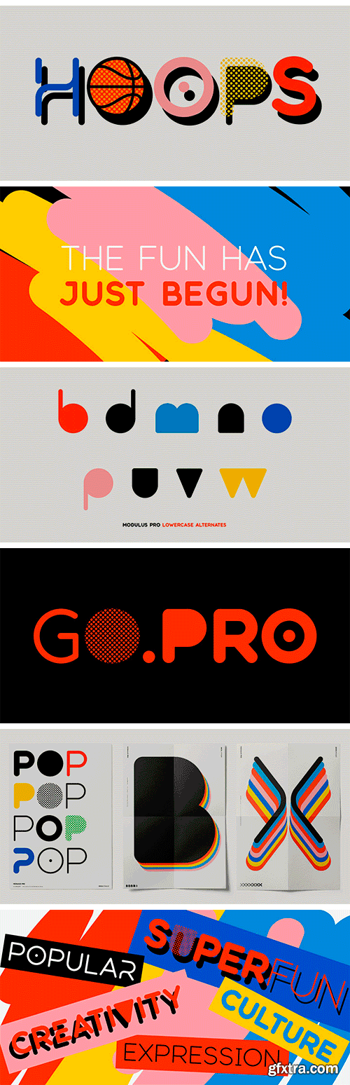 Modulus Pro Font Family