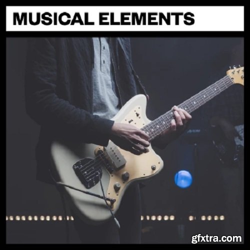 Big Room Sound Musical Elements