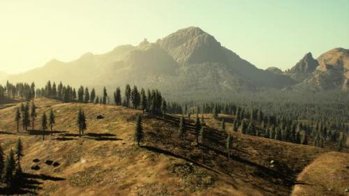 Videohive - Spruce and Pine Trees and Mountains of Colorado - 43530497 - 43530497